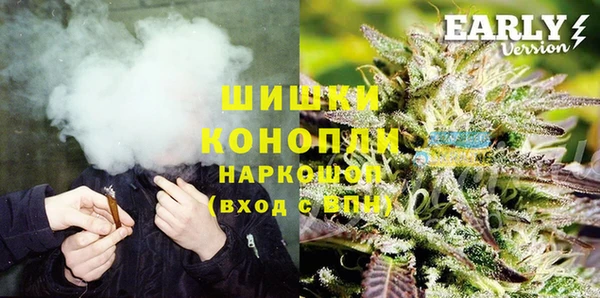 ГАЛЛЮЦИНОГЕННЫЕ ГРИБЫ Горно-Алтайск