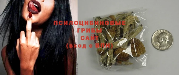 гашик Горнозаводск