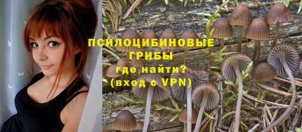mix Горняк
