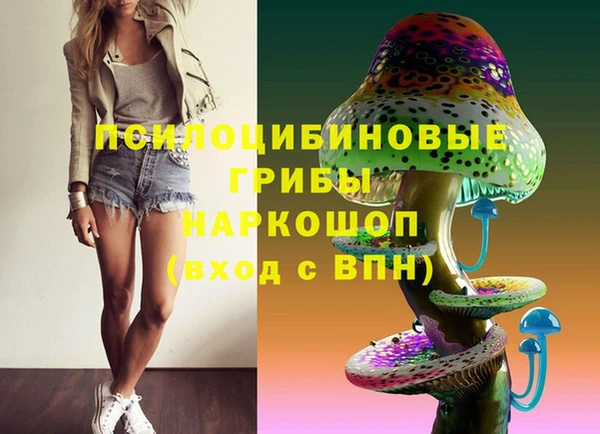 mix Горняк