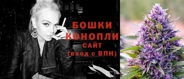 гашик Горнозаводск