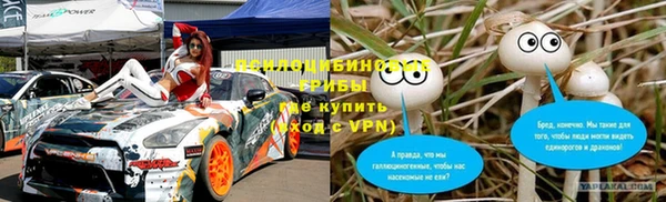 дмт Тында
