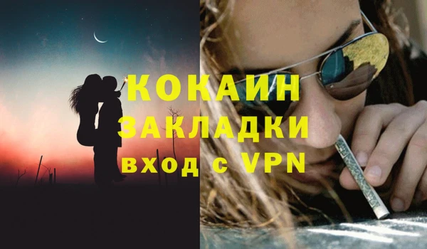 ГАЛЛЮЦИНОГЕННЫЕ ГРИБЫ Горно-Алтайск