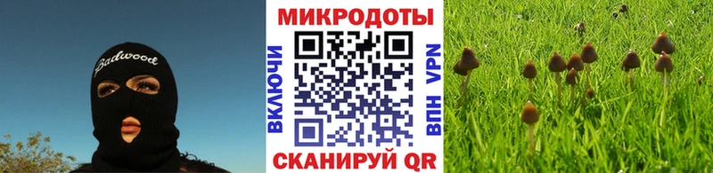 Псилоцибиновые грибы мицелий  купить наркотики цена  Донецк 