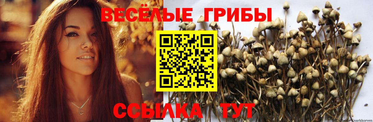 Донецк  Галлюциногенные грибы прущие грибы  Вход с VPN 